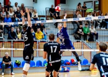 Украинцы заметны в разных национальных чемпионатах