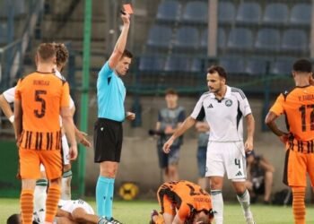 Бывший арбитр ФИФА прокомментировал удаление в матче «Шахтера» с «Панатинаикосом»