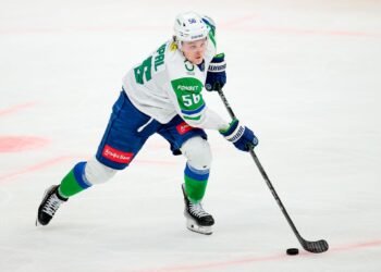 Главный тренер «Салавата Юлаева» ответил, сможет ли Ремпал сыграть с «Локомотивом»