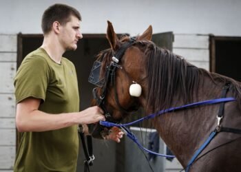 Никола Йокич: для своих — свой, для чужих — загадка