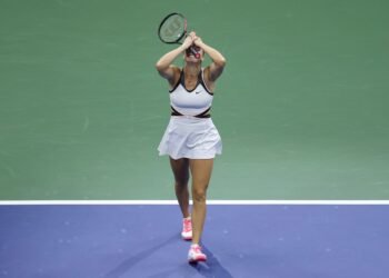 Арина Соболенко показала фотографии из частного самолёта