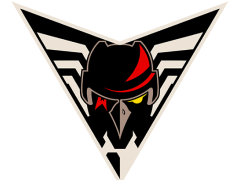 Серия плей-офф ВХЛ «Омские Крылья» — «Челмет» вместо Омска начнётся в Челябинске