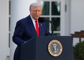 Деньги, кард и президент. Детальный гайд по турниру UFC в Белом доме