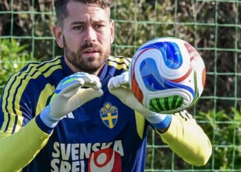 Ворота сборной Швеции в матче с Украиной будет защищать 36-летний голкипер, который больше двух лет не играл за сборную