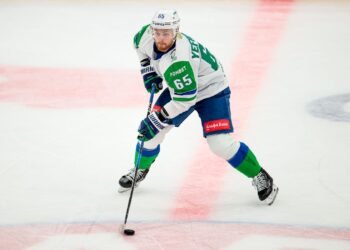 Форвард «Салавата Юлаева» Ефремов высказался о предстоящей серии плей-офф с «Локомотивом»