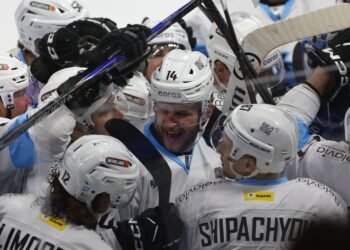 Белорусский вратарь «Ванкувера» Толопило высказался об игре минского «Динамо»