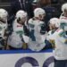 Хоккейный клуб «Сочи» покинуло несколько игроков