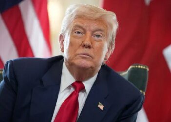 "Я отлично выспался. А ты?" — кот премьера Бельгии поиздевался над Трампом после победы бельгийской сборной на ЧМ против США