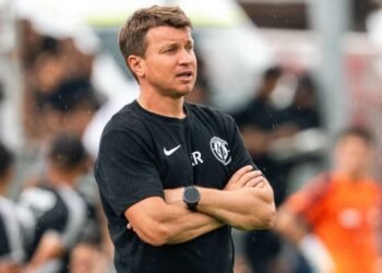 Руслан Ротань: «После этого пропущенного гола у нас началась агония»