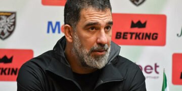 Известно, как в Шахтере отреагировали на решение Турана о сборной Турции
