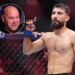 «Ян тоже никого не финиширует». UFC снова уволил непобеждённого бойца — почему?